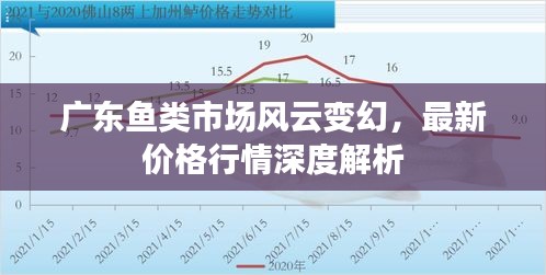 廣東魚類市場風(fēng)云變幻，最新價格行情深度解析