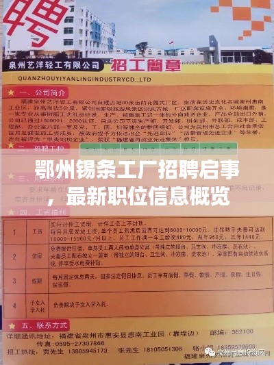 鄂州錫條工廠招聘啟事，最新職位信息概覽