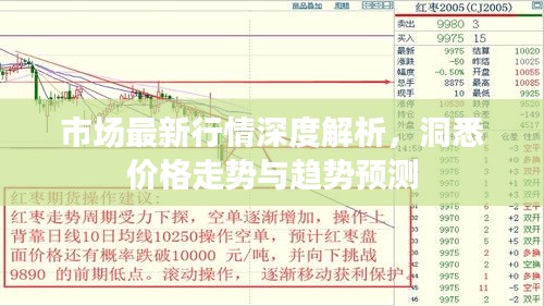 市場最新行情深度解析，洞悉價格走勢與趨勢預(yù)測