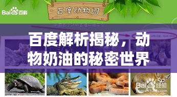 百度解析揭秘，動(dòng)物奶油的秘密世界！