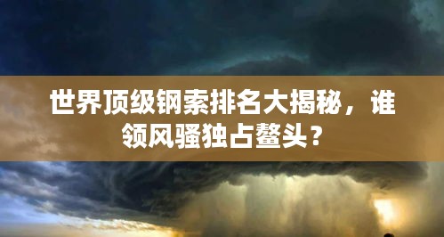 世界頂級鋼索排名大揭秘，誰領(lǐng)風(fēng)騷獨占鰲頭？