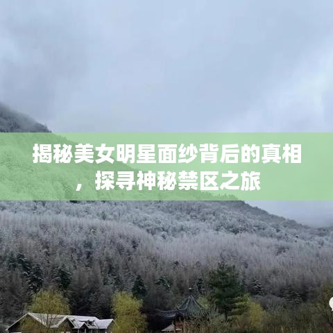 揭秘美女明星面紗背后的真相，探尋神秘禁區(qū)之旅