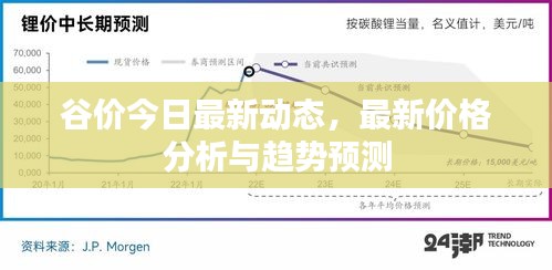 谷價今日最新動態(tài)，最新價格分析與趨勢預測