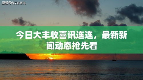 今日大豐收喜訊連連，最新新聞動(dòng)態(tài)搶先看