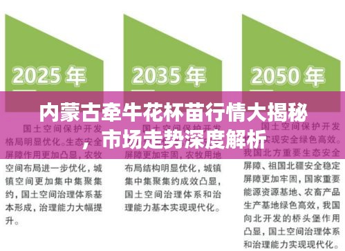 內(nèi)蒙古牽?；ū缧星榇蠼颐?，市場走勢深度解析