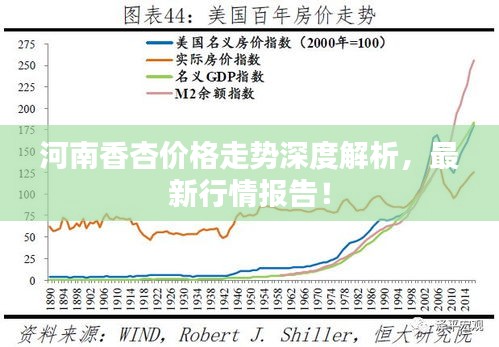 河南香杏價格走勢深度解析，最新行情報告！