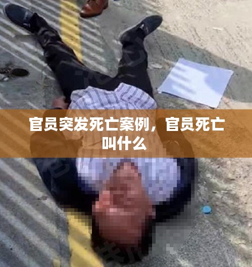 官員突發(fā)死亡案例，官員死亡叫什么 