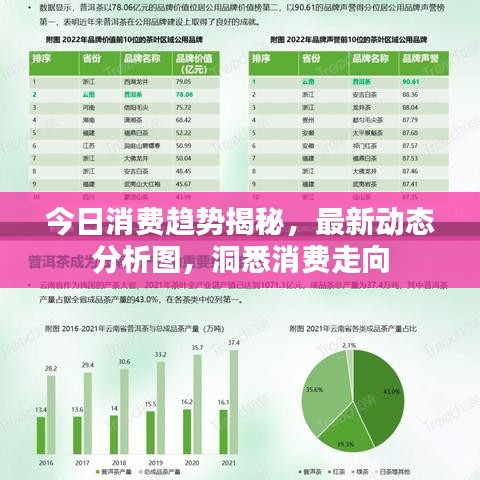 今日消費趨勢揭秘，最新動態(tài)分析圖，洞悉消費走向