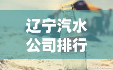 遼寧汽水公司排行榜揭曉，誰(shuí)領(lǐng)風(fēng)騷？