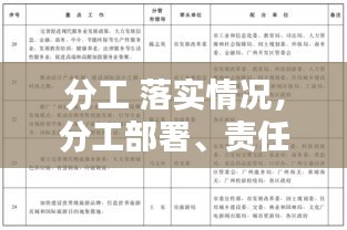 分工 落實情況，分工部署、責任落實 