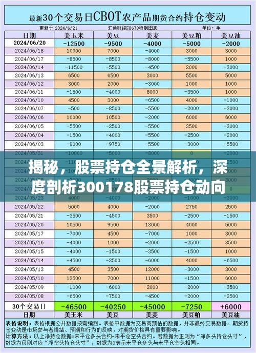 揭秘，股票持倉全景解析，深度剖析300178股票持倉動向